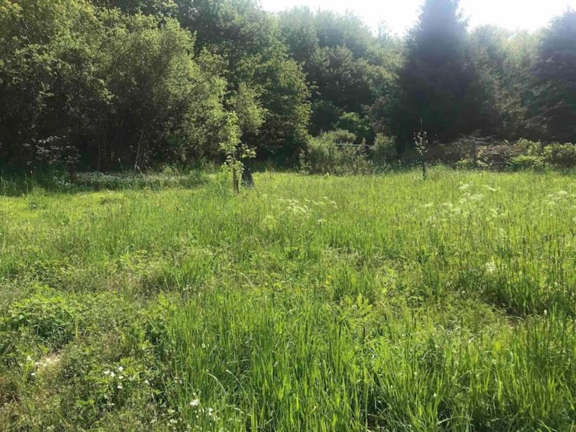 Apartment With Garden In A Wooded Setting Auw bei Prum 外观 照片